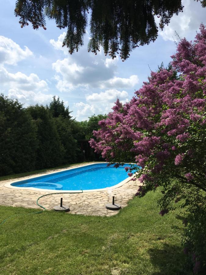 Héregi Éden Vendégház Exterior foto